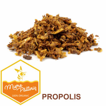 Propolis